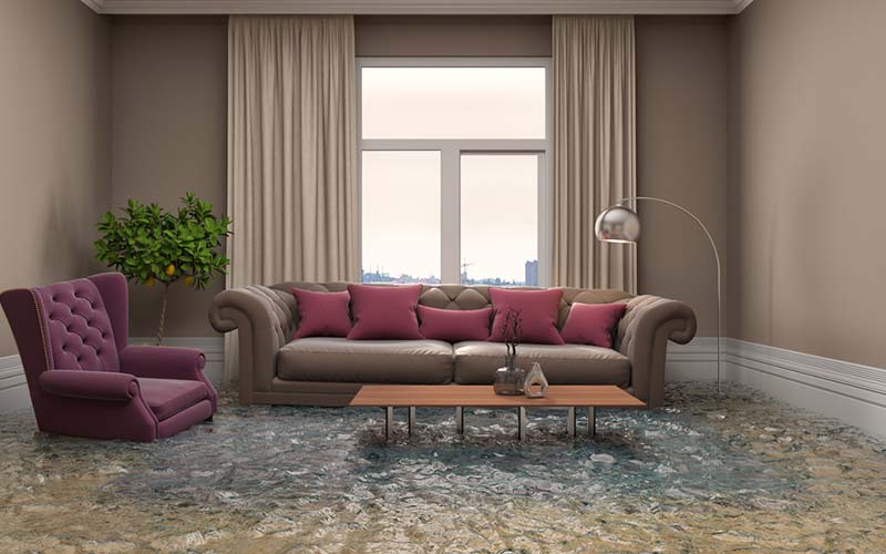 carpet cleaning in brooklyn, carpet cleaning in new york, carpet cleaning brooklyn, carpet cleaners in brooklyn, carpet cleaners in new york, commercial carpet cleaning, commercial carpet cleaning in brooklyn, brooklyn rug cleaners, rug cleaning services in brooklyn, same day carpet cleaning, same day rug cleaning